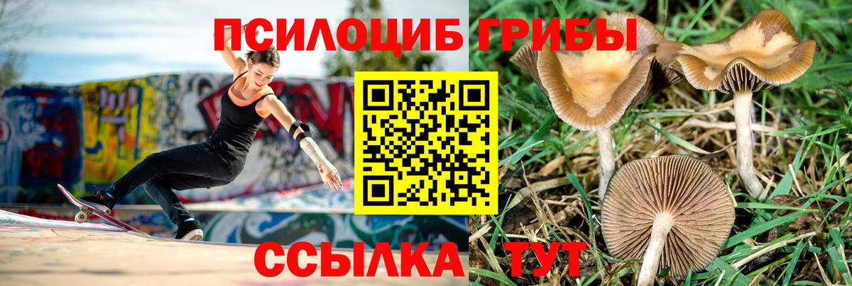 Галлюциногенные грибы ЛСД  Вход с VPN  Ирбит  Галлюциногенные грибы Cubensis 